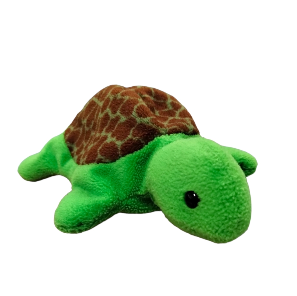 ✓TY Beanie Baby “Speedy” the Turtle Plush (6.5 inch)